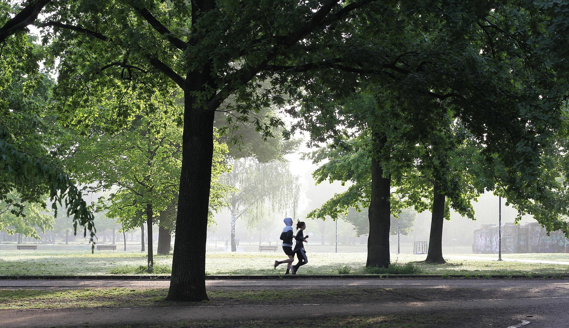 Two people jogging in a park with large green trees